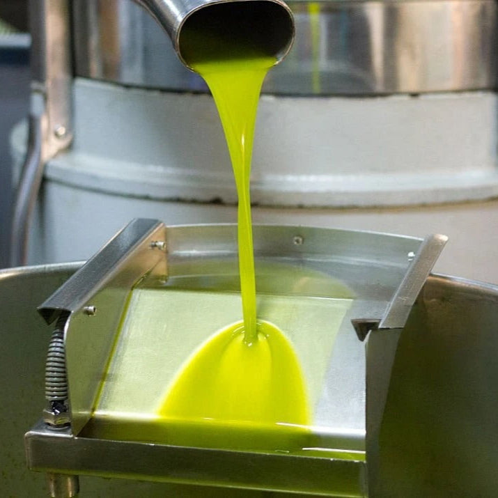 Olio di Oliva Artigianale Extravergine Coratina