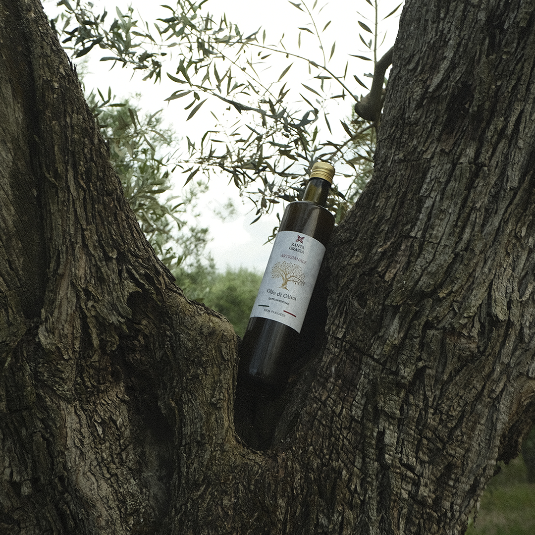 Olio di Oliva Artigianale Extravergine Coratina