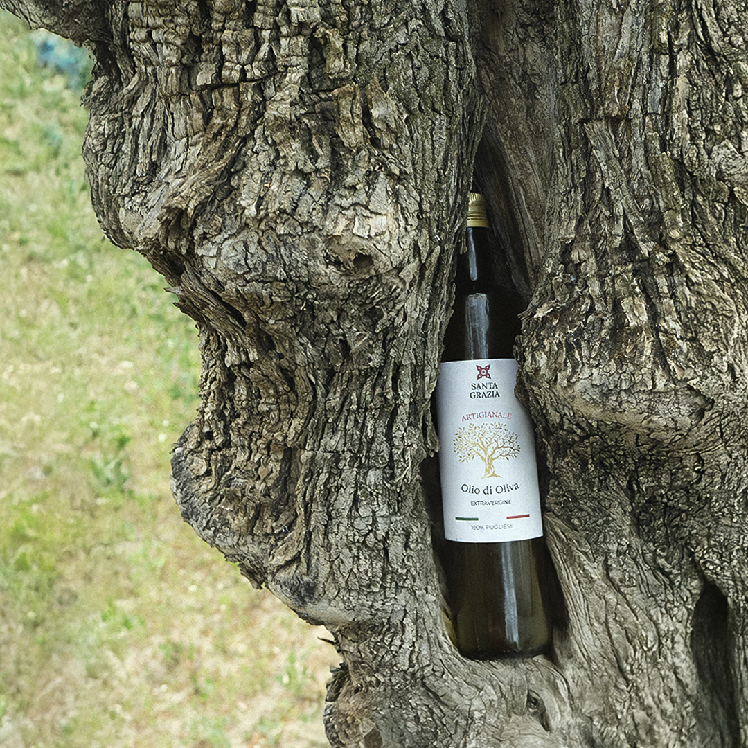 Olio di Oliva Artigianale Extravergine Coratina